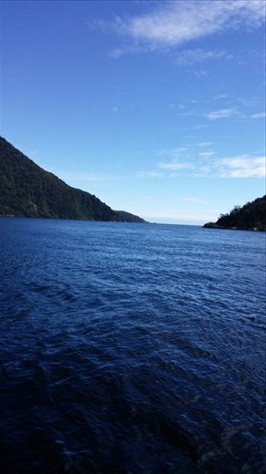 View of the Tasman Sea