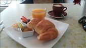 Big fat croissant for breaky: by cfitchey, Views[266]