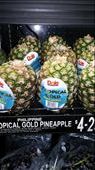 They sell pineapples in the grocery with out their tops: by cfitchey, Views[378]