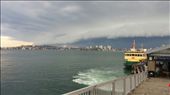 Ferry to Sydney harbour from the zoo: by cfitchey, Views[263]