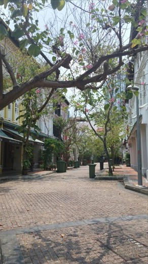 But nothing was open yet. :(