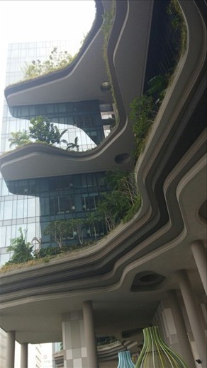 Groovy lines and lots of plants shape the outside