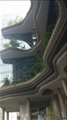 Groovy lines and lots of plants shape the outside: by cfitchey, Views[313]