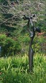 'Joy' sculpture. : by cfitchey, Views[294]