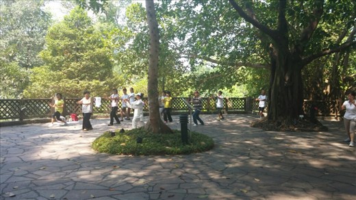 Tai chi class in the park