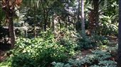 Beautiful garden which I was kicked out of.  Apparently they didn't want visitors.: by cfitchey, Views[305]