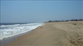 The beach at Chennai. Long and beautiful. A lot of sand in the water this day. And a lot of cute little sand colored scorpions digging holes in the sand. Seriously!: by cfitchey, Views[373]