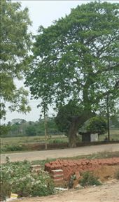 by cfitchey, Views[275]