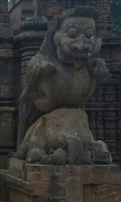 by cfitchey, Views[290]