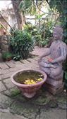 Garden at Wildgrass: by cfitchey, Views[217]