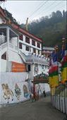 Monastic school opened by Dalai Lama : by cfitchey, Views[271]