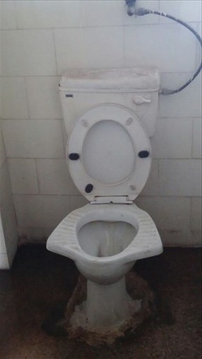 Toilet in first class ladies waiting room- had wings!! In case you ever wondered why you sometimes see footprints on public toilets, this may be the answer.