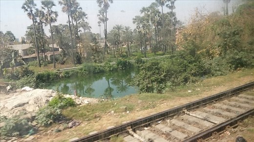 Pictures of landscape from the train