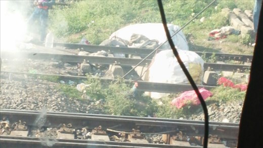 Look closely and you'll see the chickens