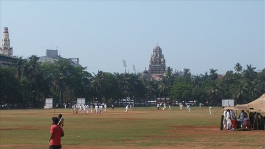 Cricket practice
