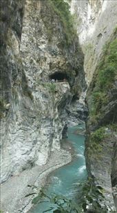 by cfitchey, Views[270]