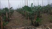 by cfitchey, Views[267]