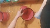 Crawfish in a tub. Fish one out yourself and have it cooked up on the grill. All that work for just one! So funny.: by cfitchey, Views[236]
