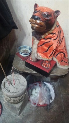 Notice what they've left for the tiger: fish and eggs