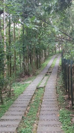 And the real hard walking begins. Straight uphill