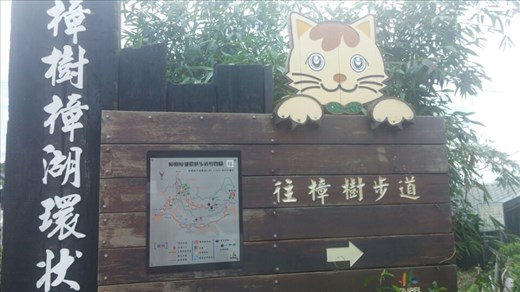 Found a cute path to follow down into the fields.