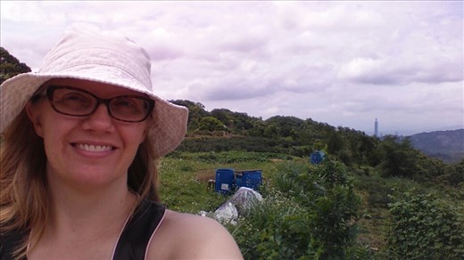 View from the top - note the Taipei 101 Tower in the distance.