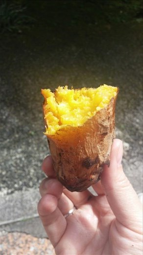 Delicious yellow sweet potatoes. 