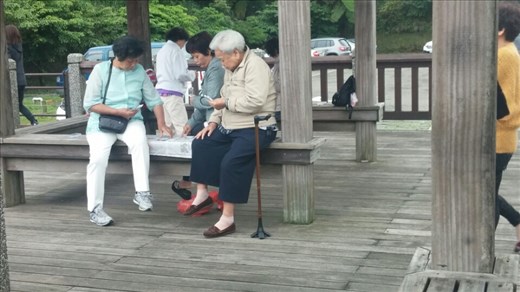 Old ladies playing cards at the park. Kind of a strange place to do this.