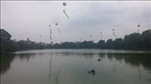 Hoan Kiem Lake: by cfitchey, Views[239]