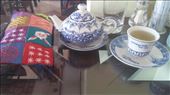 Beautiful tea set at a lovely yoga cafe: by cfitchey, Views[267]