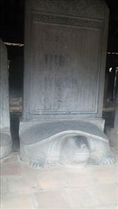 by cfitchey, Views[274]