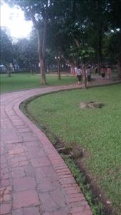 by cfitchey, Views[151]