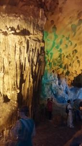 by cfitchey, Views[247]