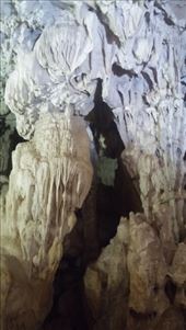 by cfitchey, Views[238]