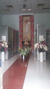 by cfitchey, Views[312]