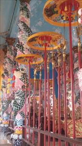 by cfitchey, Views[292]