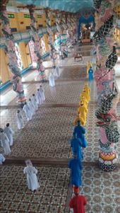 by cfitchey, Views[263]