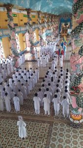 by cfitchey, Views[290]