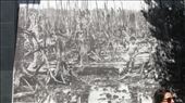 Famous photo of a boy in the jungle in the aftermath of chemical warfare: by cfitchey, Views[325]