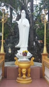 by cfitchey, Views[275]