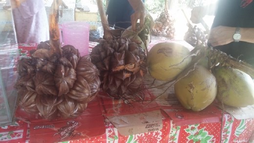 Coconut candy factory