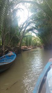 by cfitchey, Views[275]