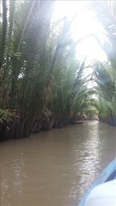 by cfitchey, Views[262]