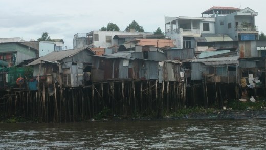 Along the banks of the river