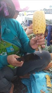 by cfitchey, Views[139]