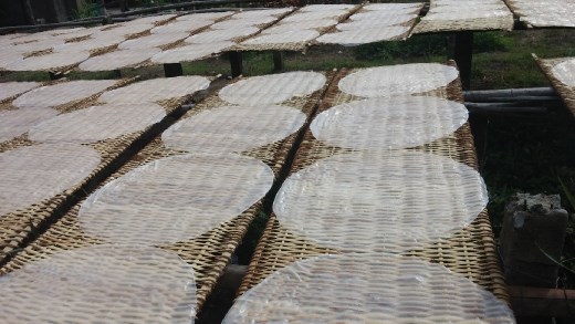 Rice pancakes drying in the sun