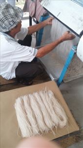 by cfitchey, Views[314]