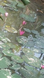 by cfitchey, Views[314]