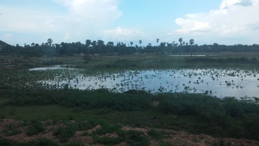 Cambodian countryside