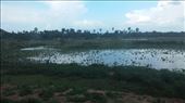 Cambodian countryside: by cfitchey, Views[230]